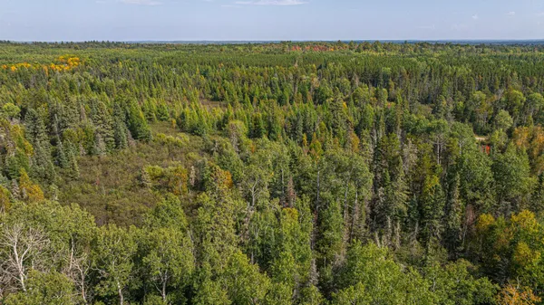 $71,900 | Tbd Johnson Creek Drive, Ely, MN 55731