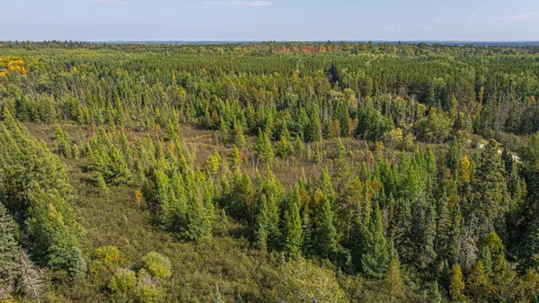 $71,900 | Tbd Johnson Creek Drive, Ely, MN 55731