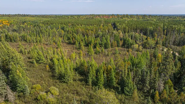 $71,900 | Tbd Johnson Creek Drive, Ely, MN 55731