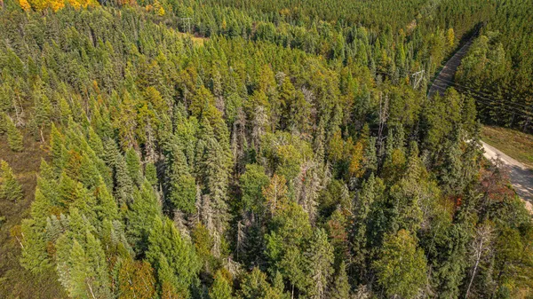 $71,900 | Tbd Johnson Creek Drive, Ely, MN 55731