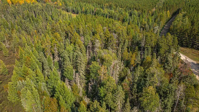 $71,900 | Tbd Johnson Creek Drive, Ely, MN 55731