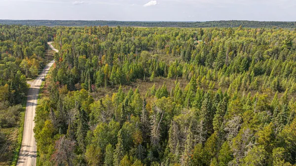 $71,900 | Tbd Johnson Creek Drive, Ely, MN 55731