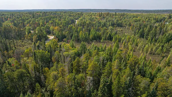 $71,900 | Tbd Johnson Creek Drive, Ely, MN 55731