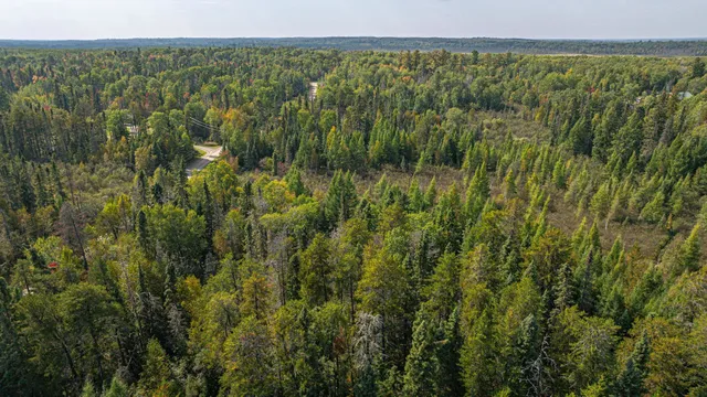 $71,900 | Tbd Johnson Creek Drive, Ely, MN 55731