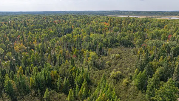 $71,900 | Tbd Johnson Creek Drive, Ely, MN 55731