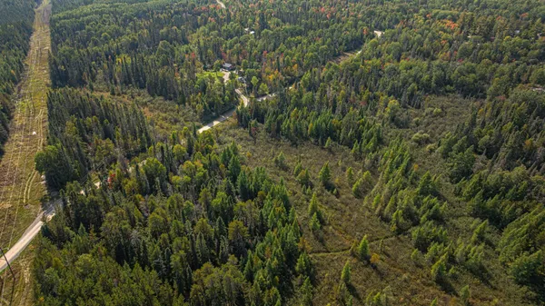 $71,900 | Tbd Johnson Creek Drive, Ely, MN 55731