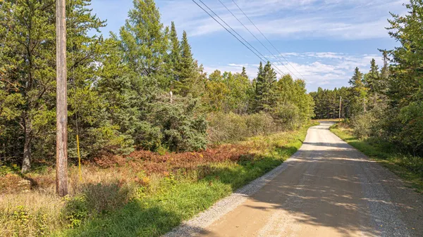 $71,900 | Tbd Johnson Creek Drive, Ely, MN 55731