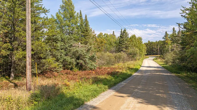 $71,900 | Tbd Johnson Creek Drive, Ely, MN 55731