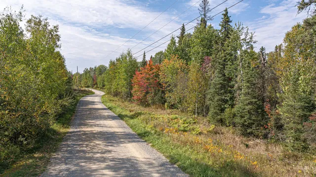 $71,900 | Tbd Johnson Creek Drive, Ely, MN 55731