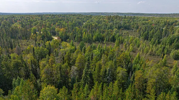 $71,900 | Tbd Johnson Creek Drive, Ely, MN 55731