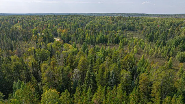 $71,900 | Tbd Johnson Creek Drive, Ely, MN 55731