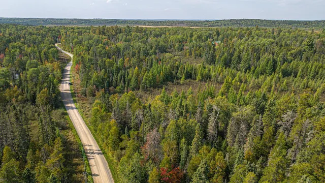 $71,900 | Tbd Johnson Creek Drive, Ely, MN 55731