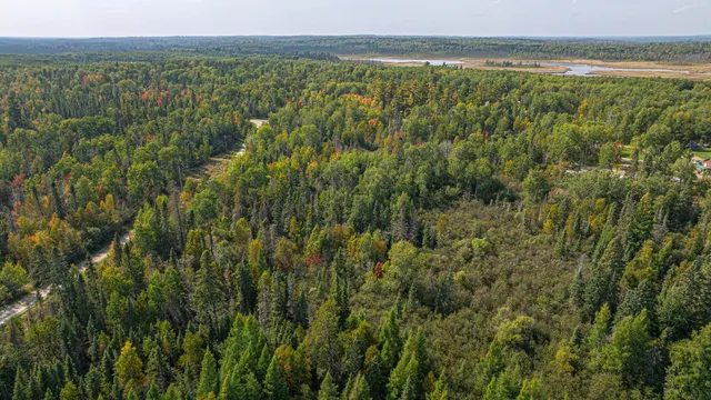 $71,900 | Tbd Johnson Creek Drive, Ely, MN 55731