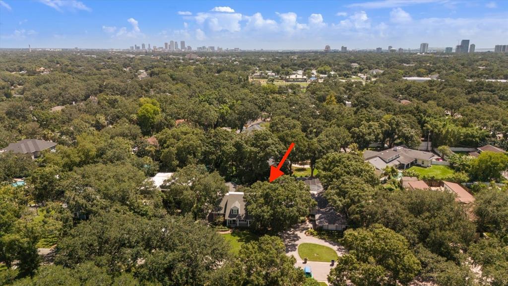 1506 South Sheridan Forest Drive Tampa, FL 33629 - Photo 33 of 41 a view of a city