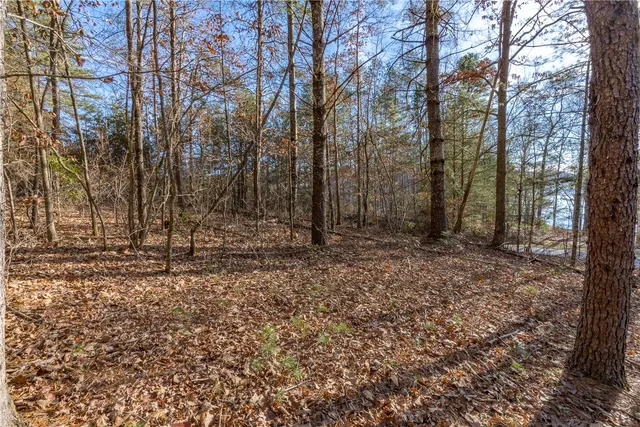 $135,000 | Lot 46 Princess Tree Way, Sunset, SC 29685