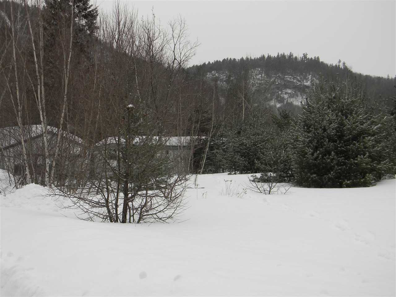 14 Corkum Road, Unit M202L010 Stark, NH 03582 - Photo 2 of 32