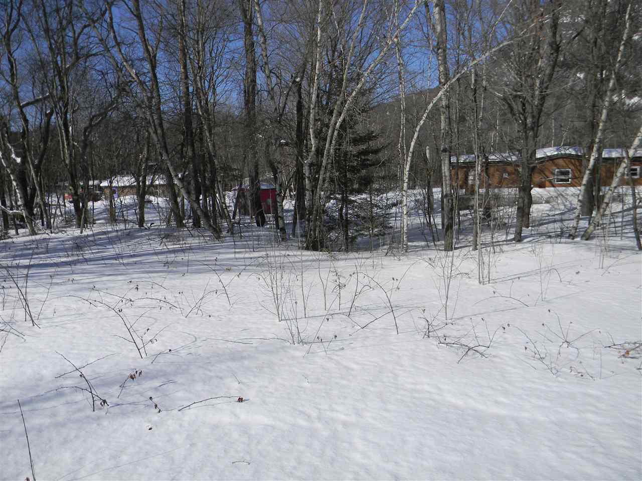 14 Corkum Road, Unit M202L010 Stark, NH 03582 - Photo 12 of 32