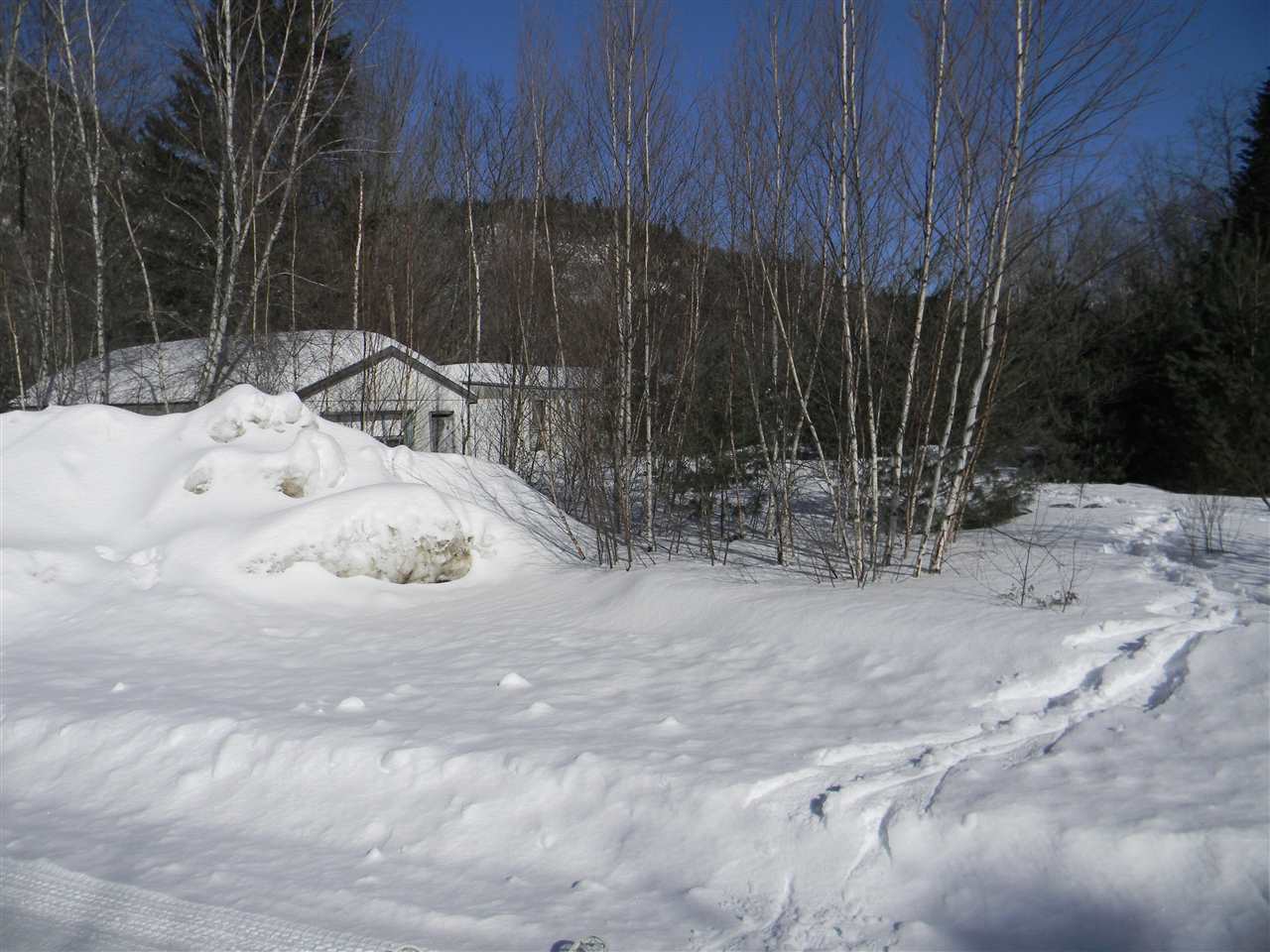 14 Corkum Road, Unit M202L010 Stark, NH 03582 - Photo 20 of 32
