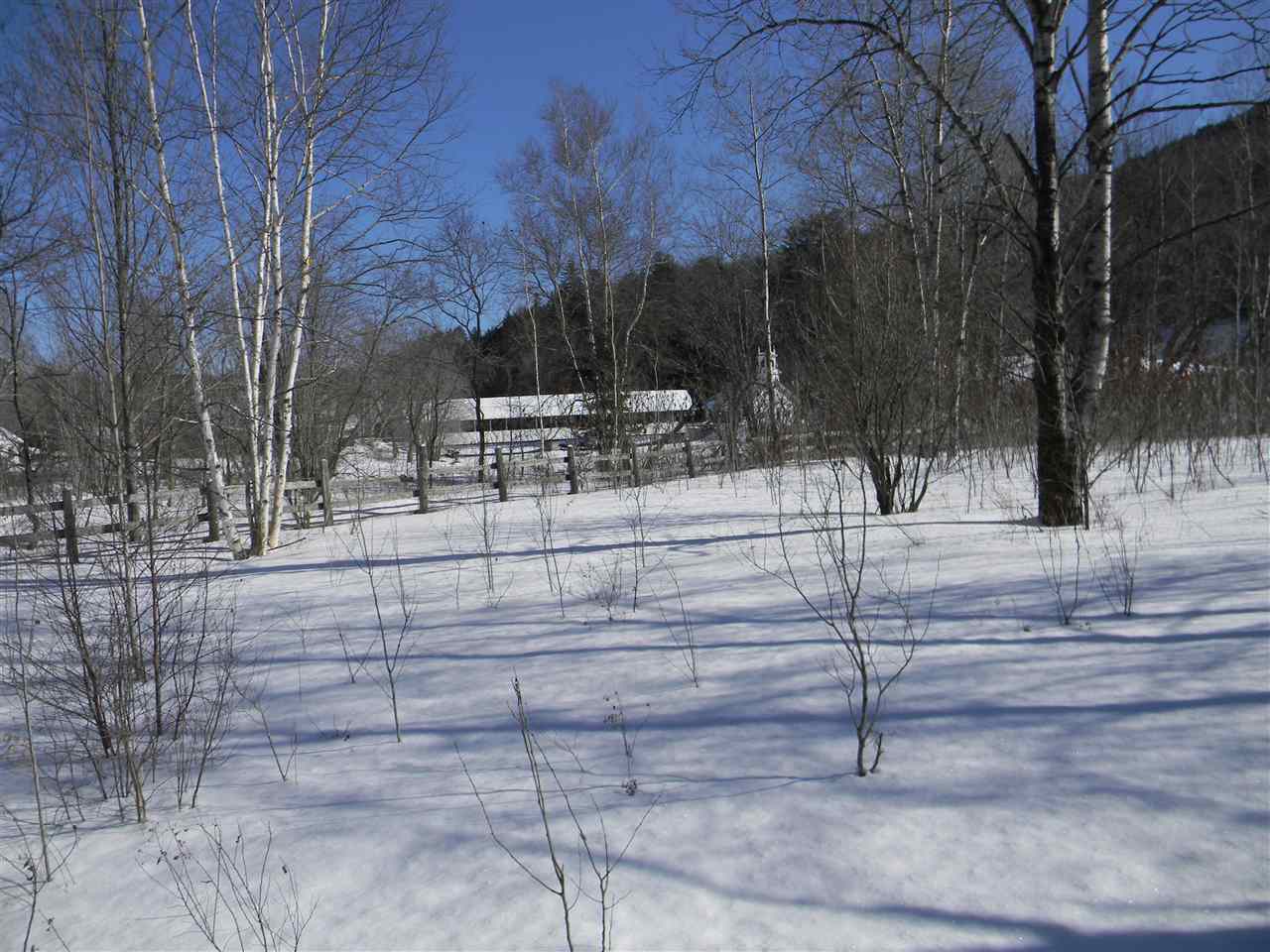 14 Corkum Road, Unit M202L010 Stark, NH 03582 - Photo 3 of 32