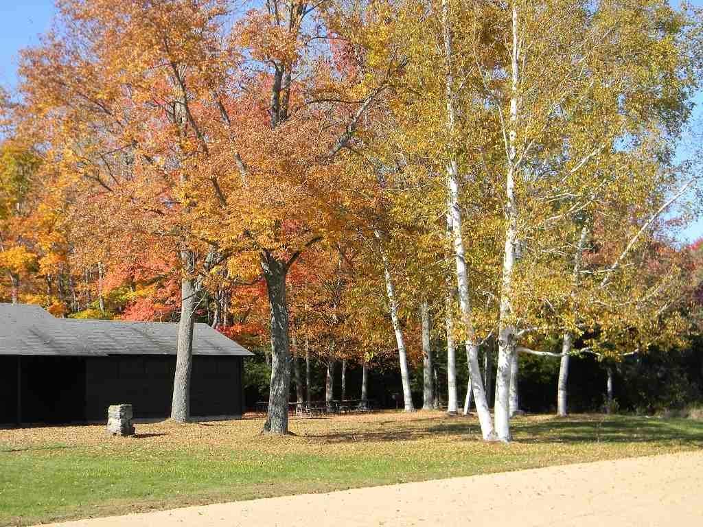 14 Corkum Road, Unit M202L010 Stark, NH 03582 - Photo 31 of 32