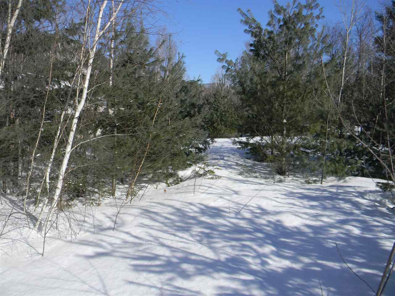 14 Corkum Road, Unit M202L010 Stark, NH 03582 - Photo 6 of 32