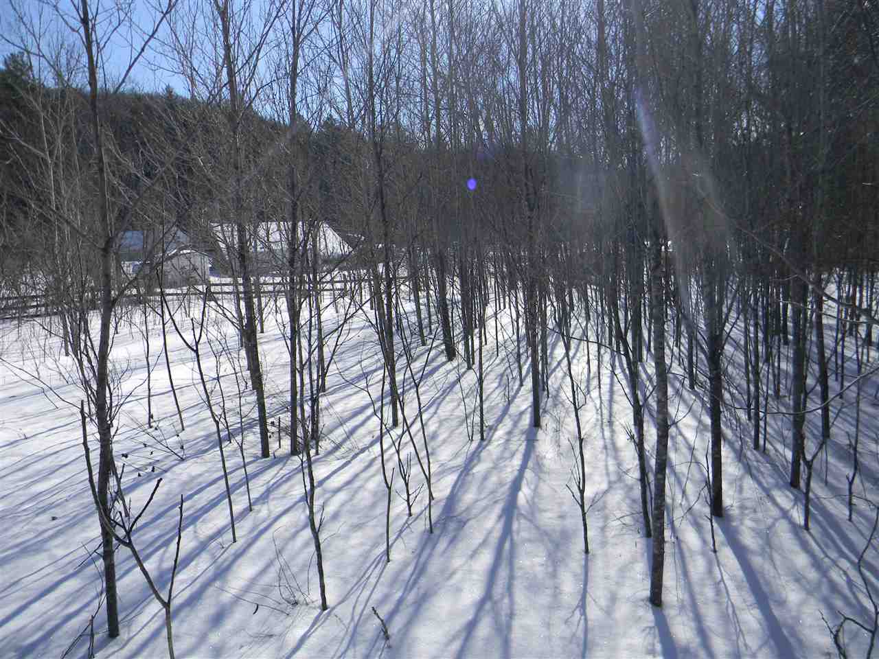 14 Corkum Road, Unit M202L010 Stark, NH 03582 - Photo 9 of 32