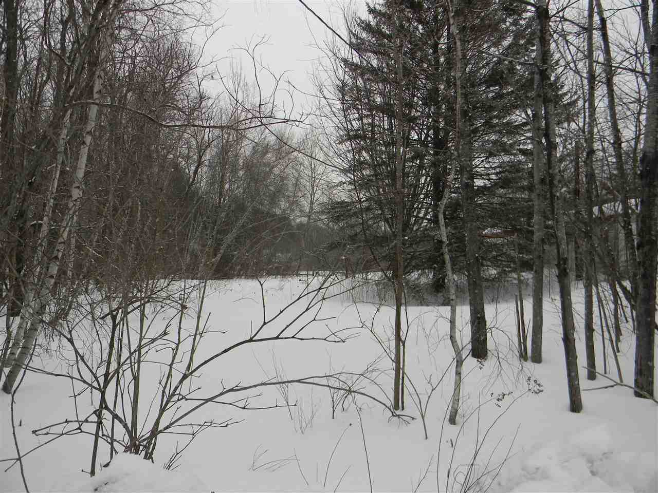 14 Corkum Road, Unit M202L010 Stark, NH 03582 - Photo 10 of 32