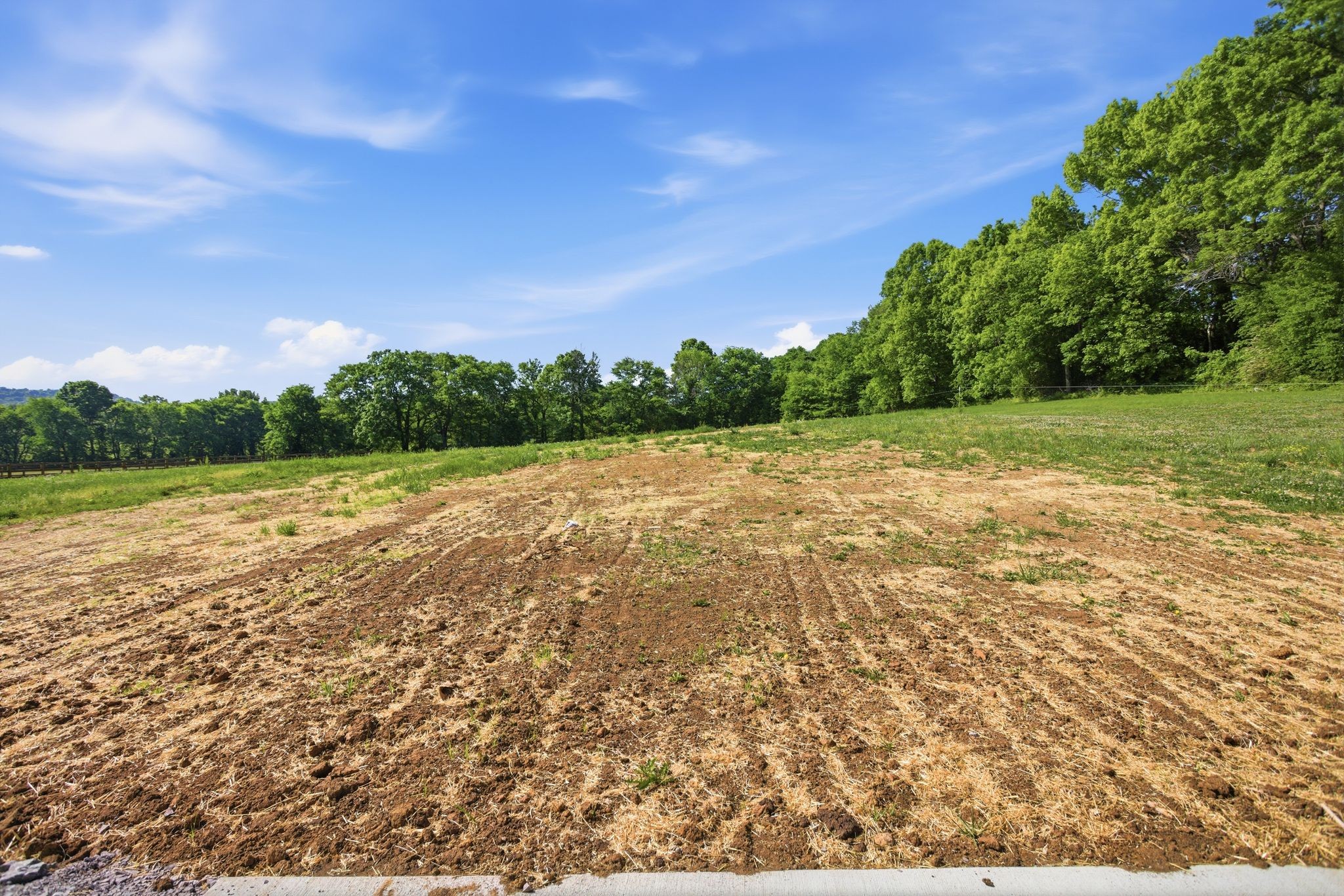 2161 Claude Fox Road Cornersville, TN 37047 - Photo 20 of 22
