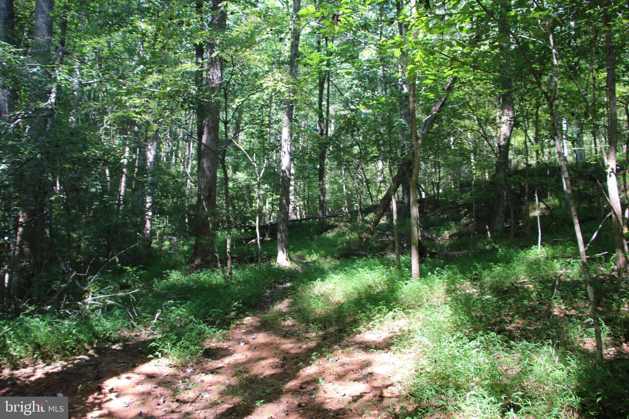 Quaintance Road Woodville, VA 22749 - Photo 13 of 43 Gallery Image 13