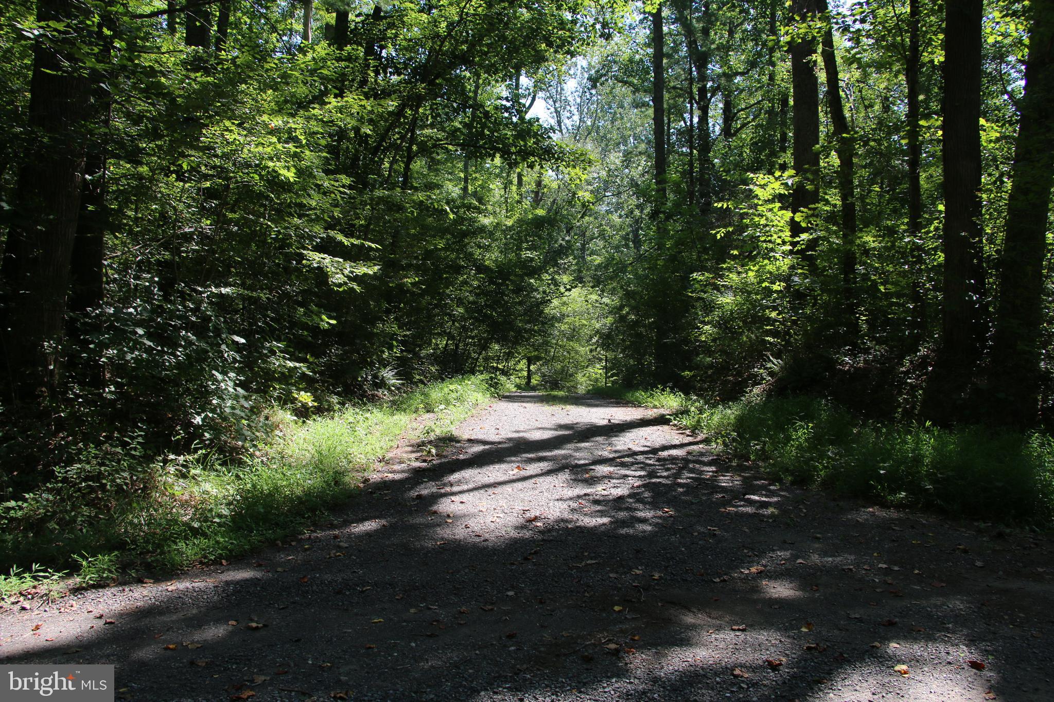 Quaintance Road Woodville, VA 22749 - Photo 15 of 43 Gallery Image 15
