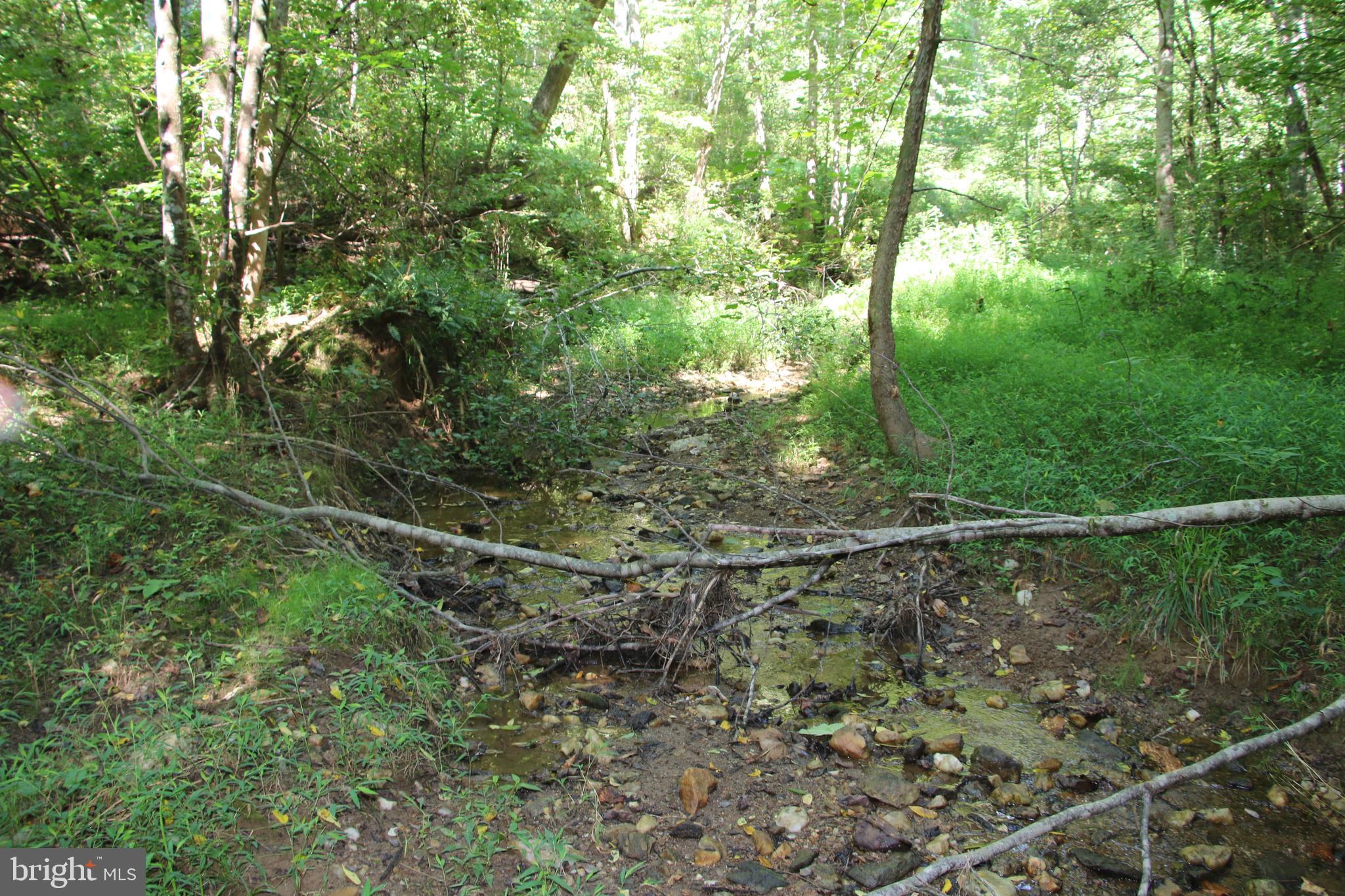 Quaintance Road Woodville, VA 22749 - Photo 18 of 43 Gallery Image 18