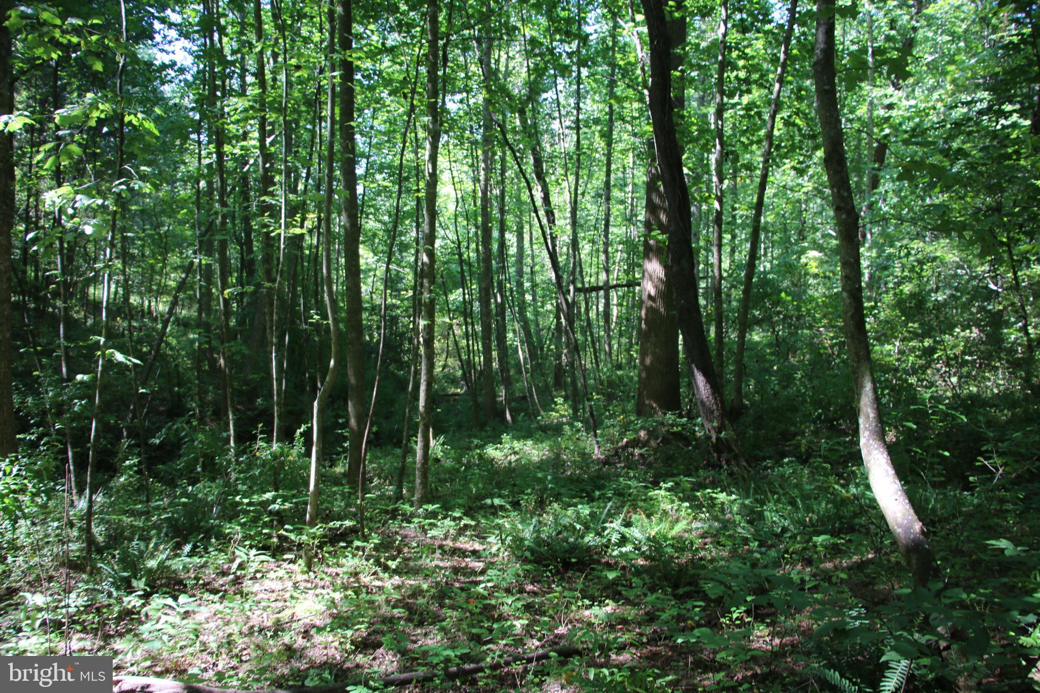 Quaintance Road Woodville, VA 22749 - Photo 20 of 43 Gallery Image 20
