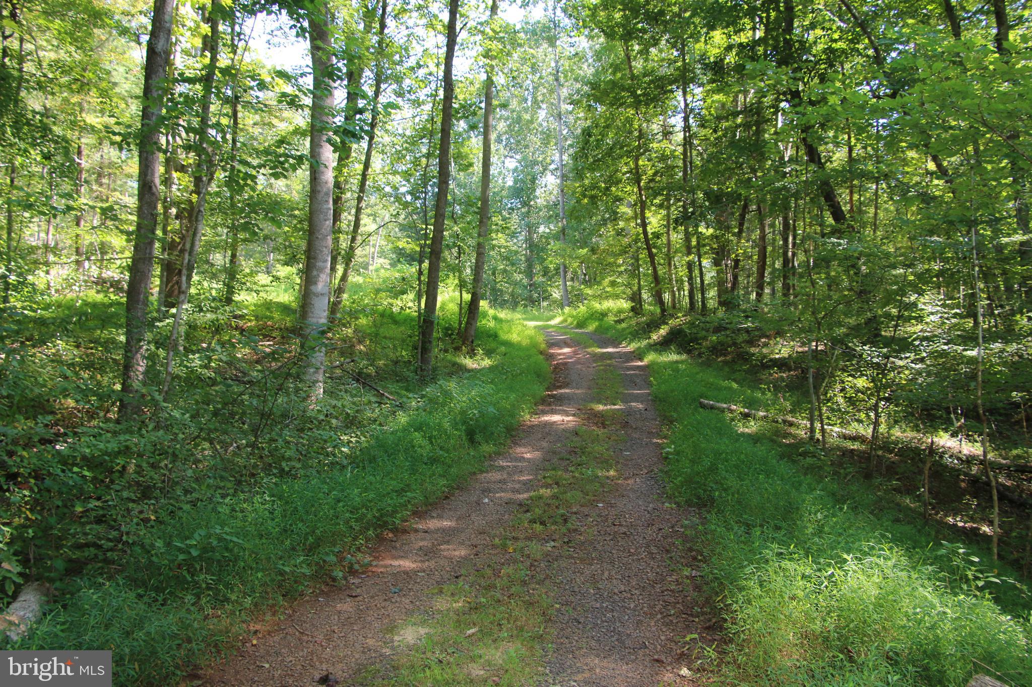 Quaintance Road Woodville, VA 22749 - Photo 2 of 43 Gallery Image 2