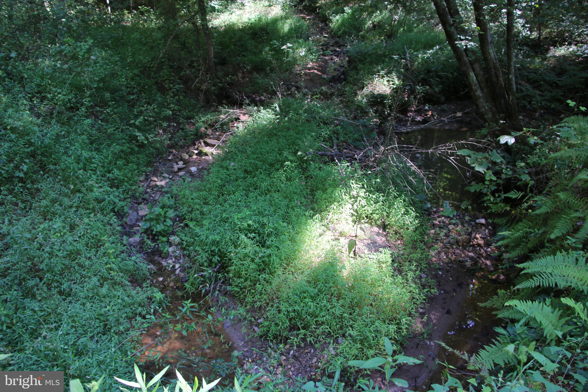 Quaintance Road Woodville, VA 22749 - Photo 22 of 43 Gallery Image 22