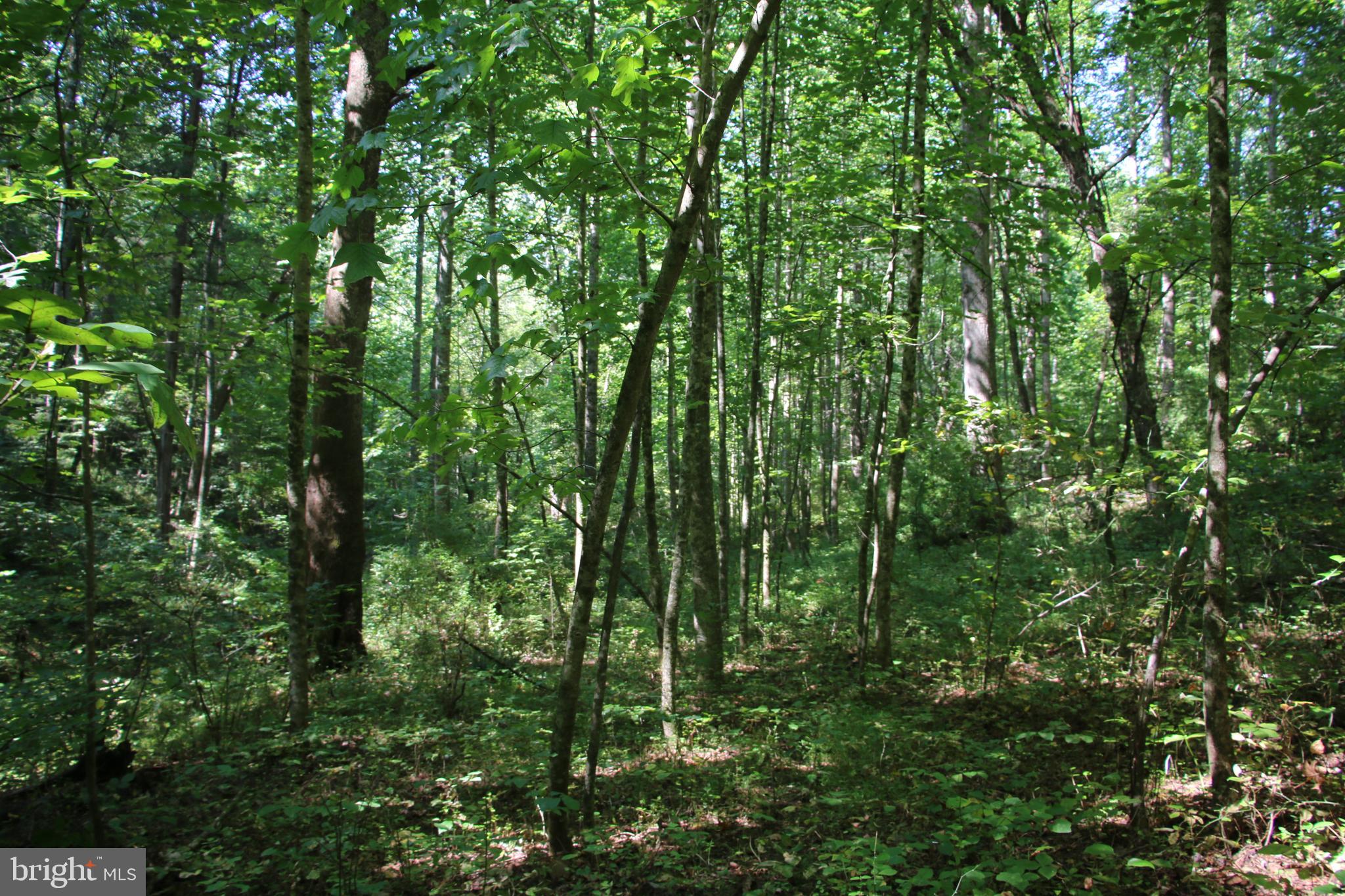 Quaintance Road Woodville, VA 22749 - Photo 23 of 43 Gallery Image 23