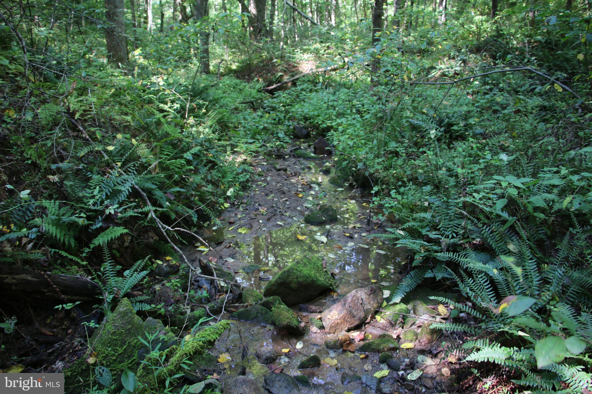 Quaintance Road Woodville, VA 22749 - Photo 24 of 43 Gallery Image 24