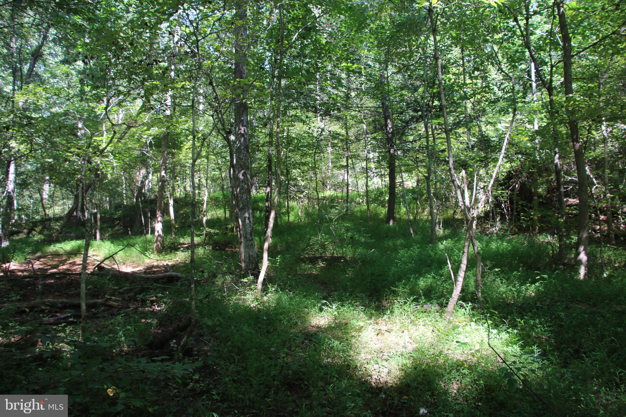 Quaintance Road Woodville, VA 22749 - Photo 25 of 43 Gallery Image 25