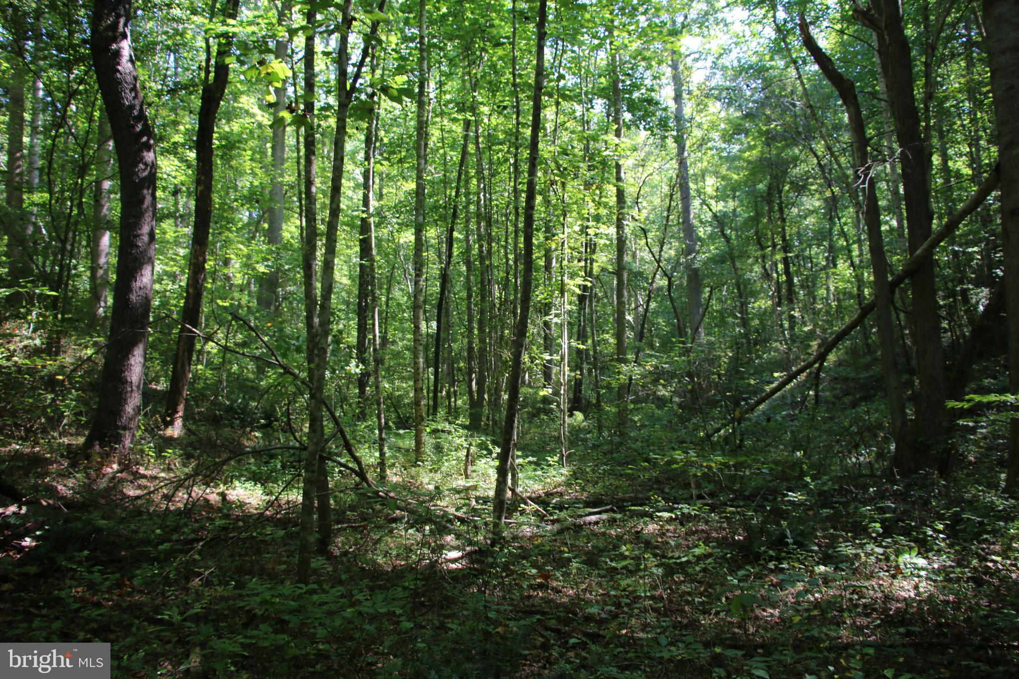 Quaintance Road Woodville, VA 22749 - Photo 26 of 43 Gallery Image 26