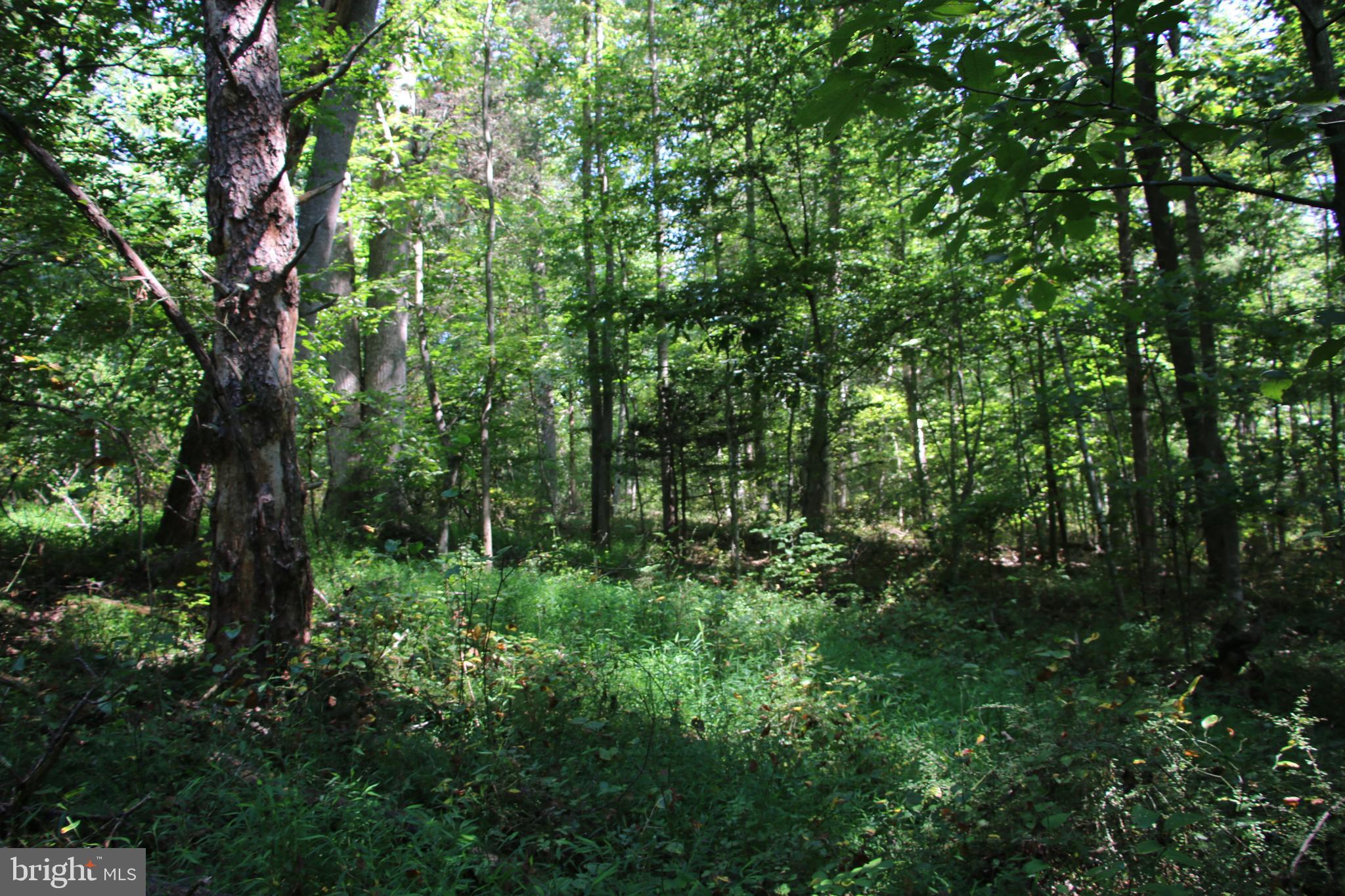 Quaintance Road Woodville, VA 22749 - Photo 34 of 43 Gallery Image 34