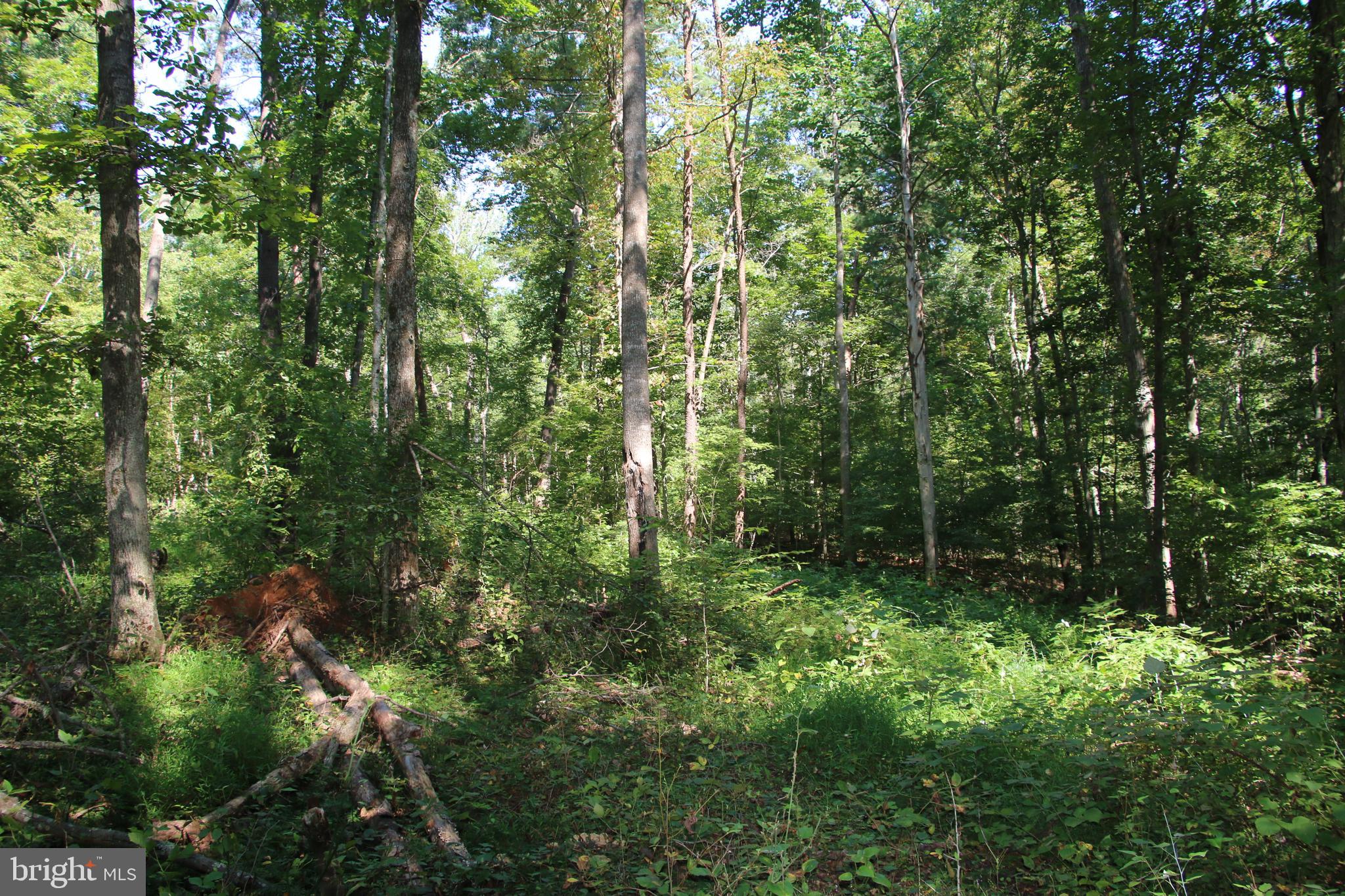 Quaintance Road Woodville, VA 22749 - Photo 38 of 43 Gallery Image 38