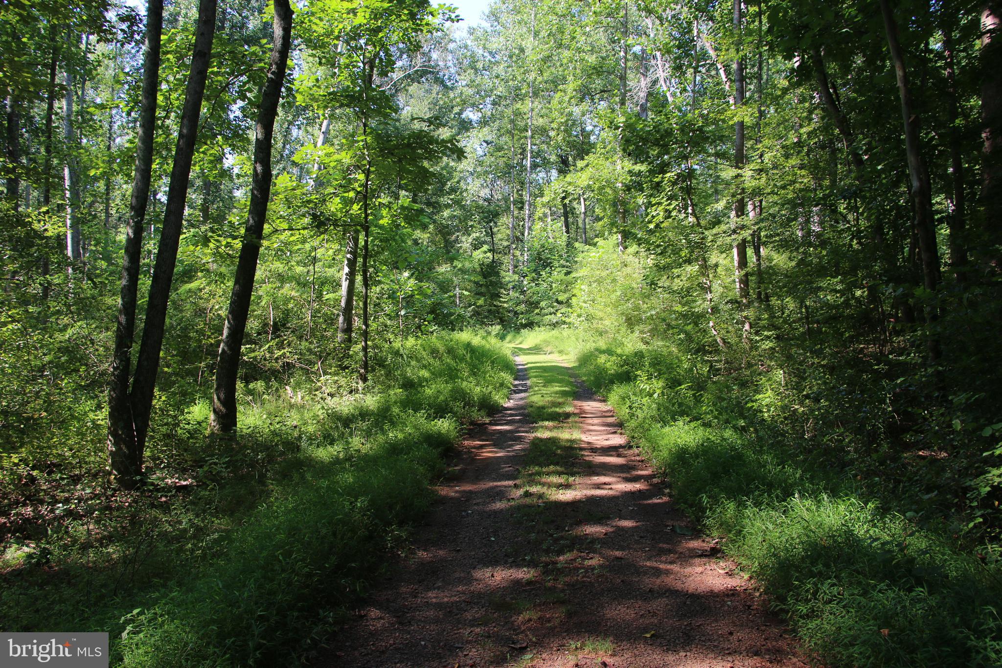 Quaintance Road Woodville, VA 22749 - Photo 10 of 43 Gallery Image 10