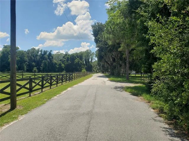 a view of a swimming pool with a bench and trees