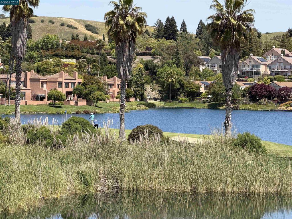 801 Lakemont Place San Ramon, CA 94582 - Photo 19 of 20 Beautiful Community Lake