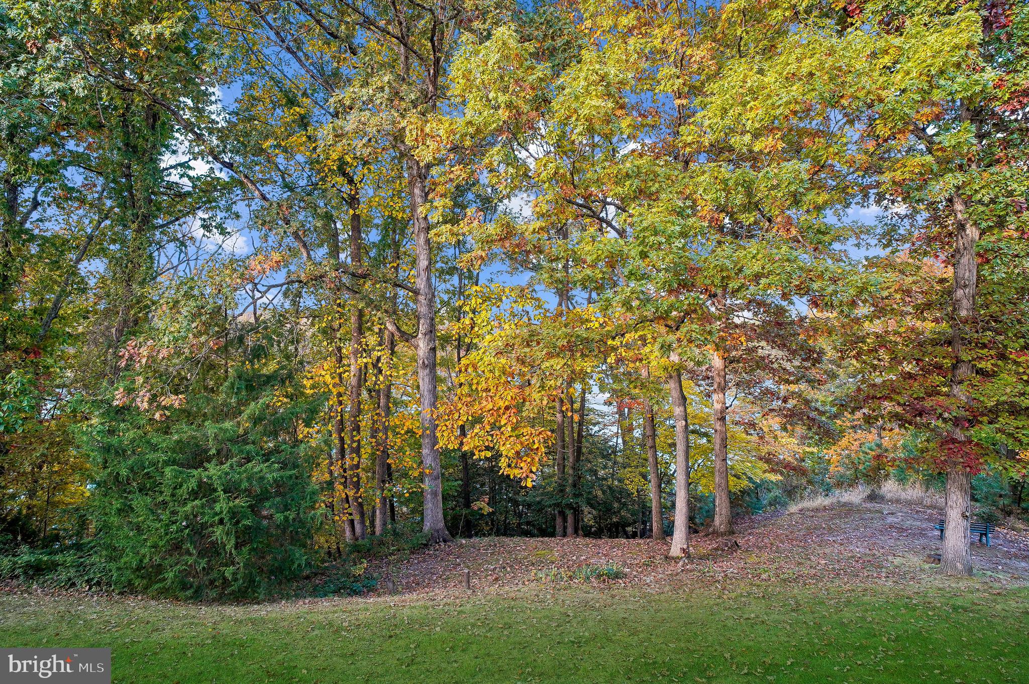 2900 Shipmaster Way, Unit 216 Annapolis, MD 21401 - Photo 25 of 53 Treetop View with South River Beyond