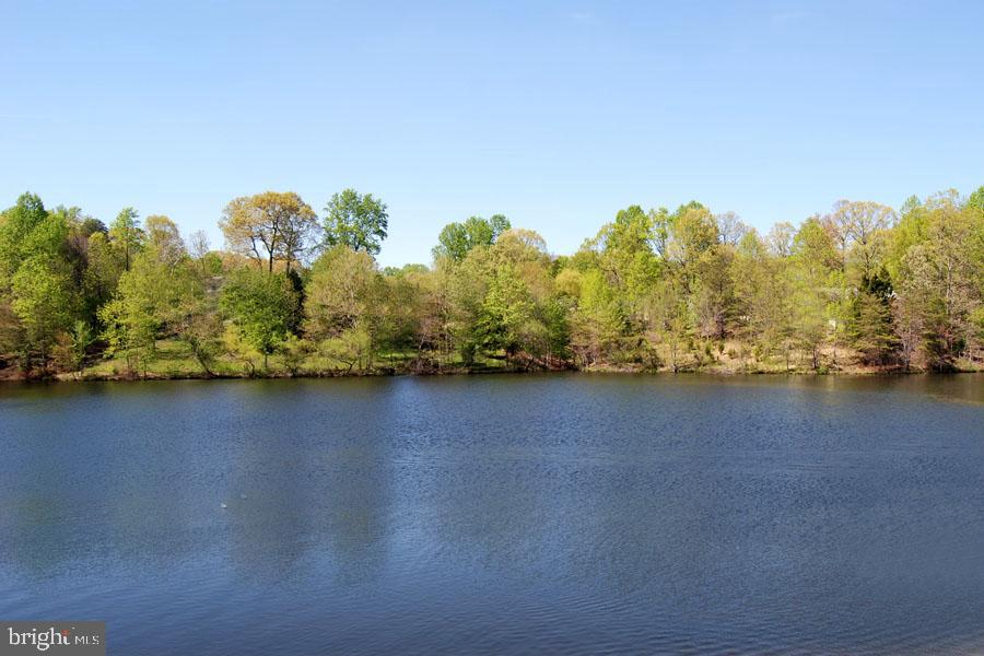 2900 Shipmaster Way, Unit 216 Annapolis, MD 21401 - Photo 43 of 53 Gorgeous Natural Environs & Common Grounds