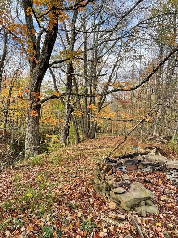 1177 Hoben Road Oxford, NY 13830 - Photo 3 of 21 View from back yard.