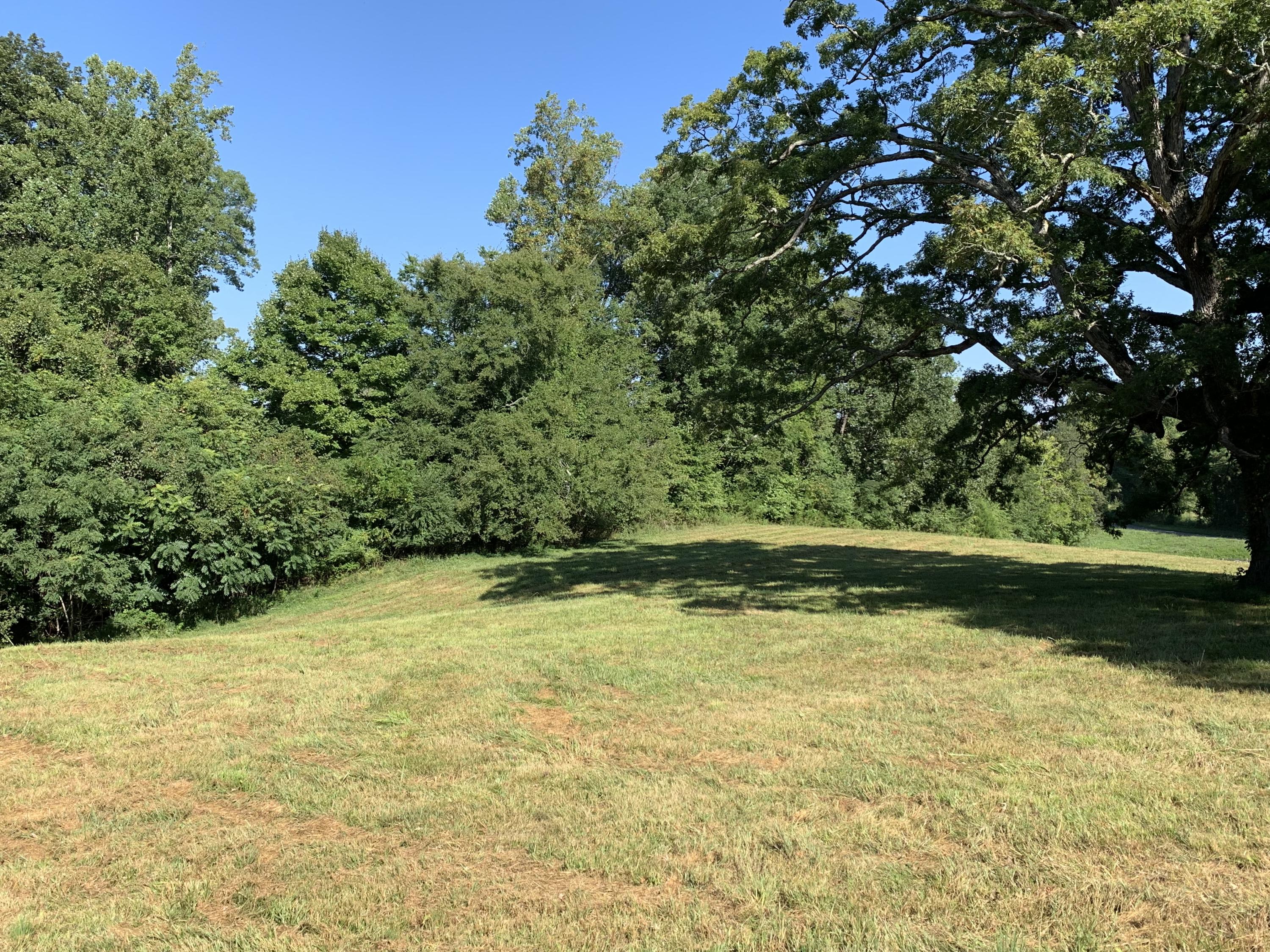 9 County Road 705 Riceville, TN 37370 - Photo 3 of 10 IMG_0589