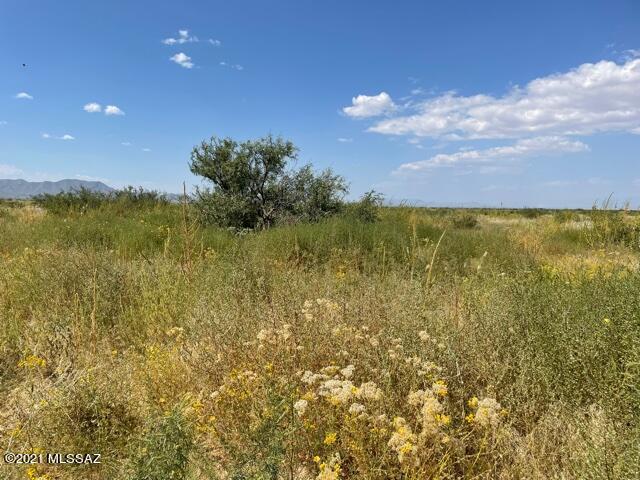 Treasure Road, Unit 21 Pearce, AZ 85625 - Photo 3 of 7 Gallery Image 3