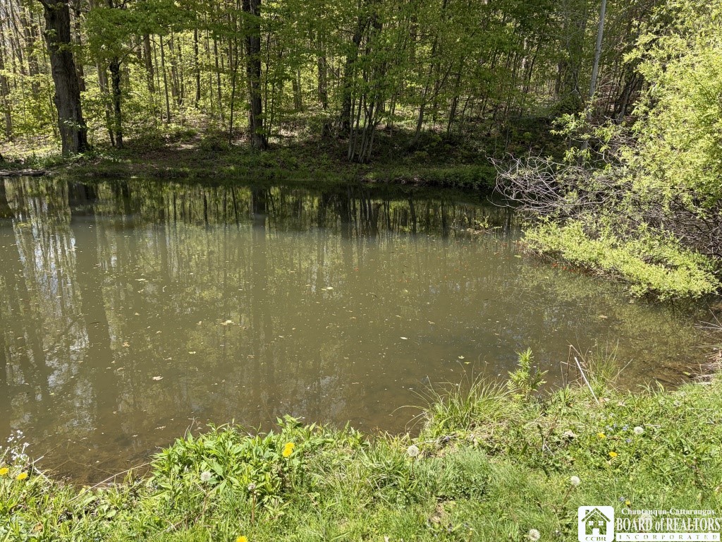4688 Kortwright Road Busti, NY 14701 - Photo 8 of 39