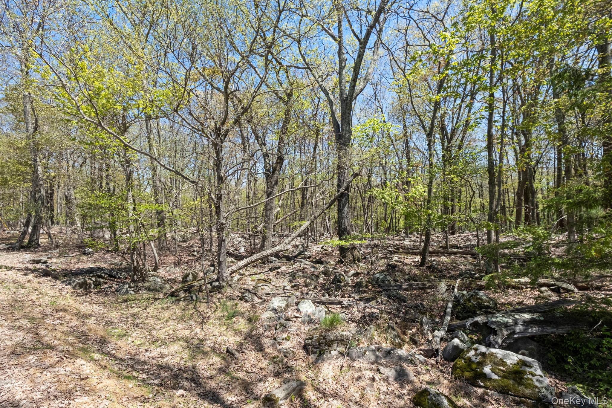 Canal Road Wurtsboro, NY 12790 - Photo 17 of 19 a backyard of a house with lots of green space